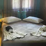 Talos House Case de vacanță